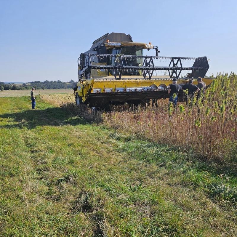 Hanfernte mit Maehdrescher
