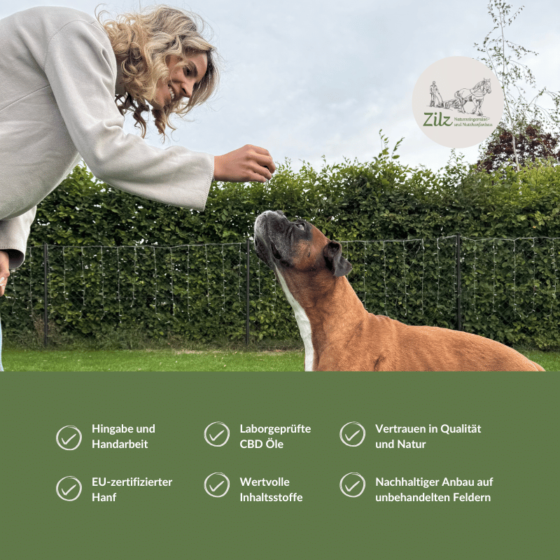 CBD Öl für Hunde