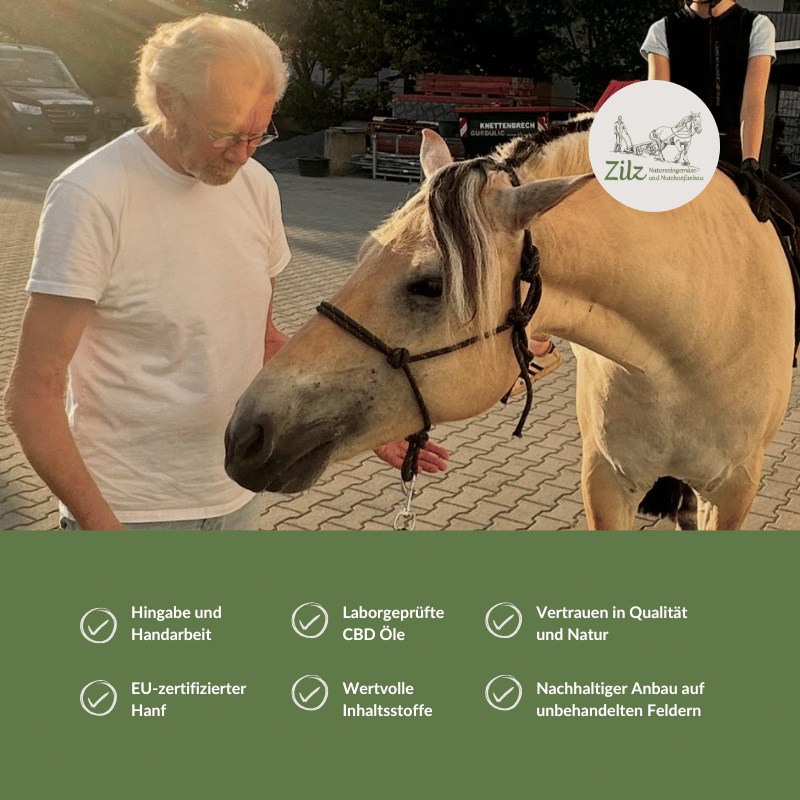 CBD Öl für Pferde